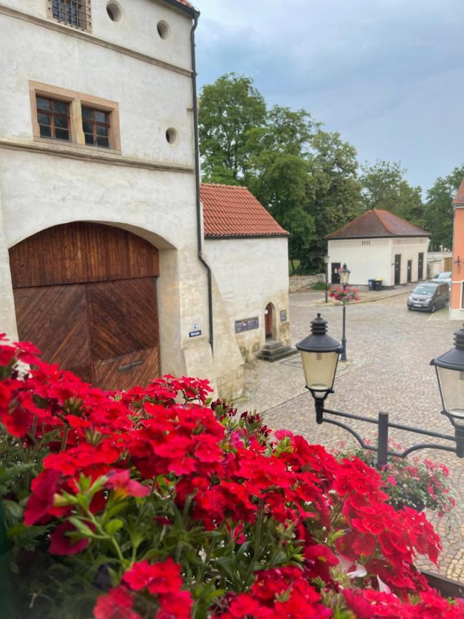Pension Alt Naumburg Naumburg  Exteriör bild